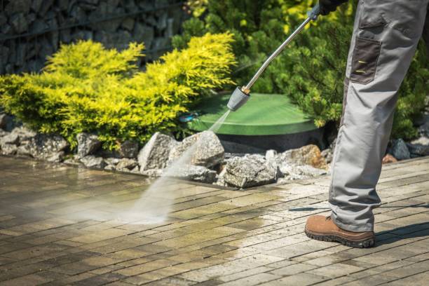 Best Gutter Cleaning  in Craig, AK